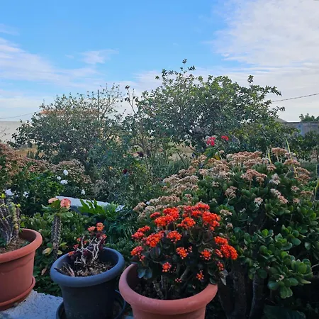 Lejlighed Eterna Primavera Fayna